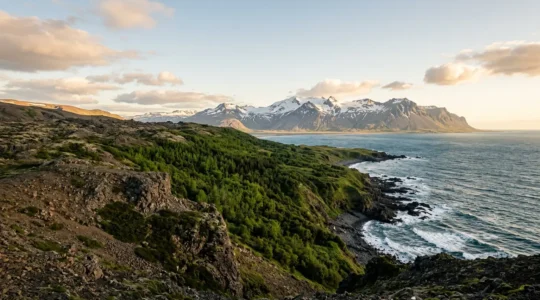 Dramatische Küstenlandschaft mit mehreren geografischen Zonen in einem Bild vereint